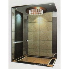 Hairline Stainless Steel Passenger Elevator avec bon prix